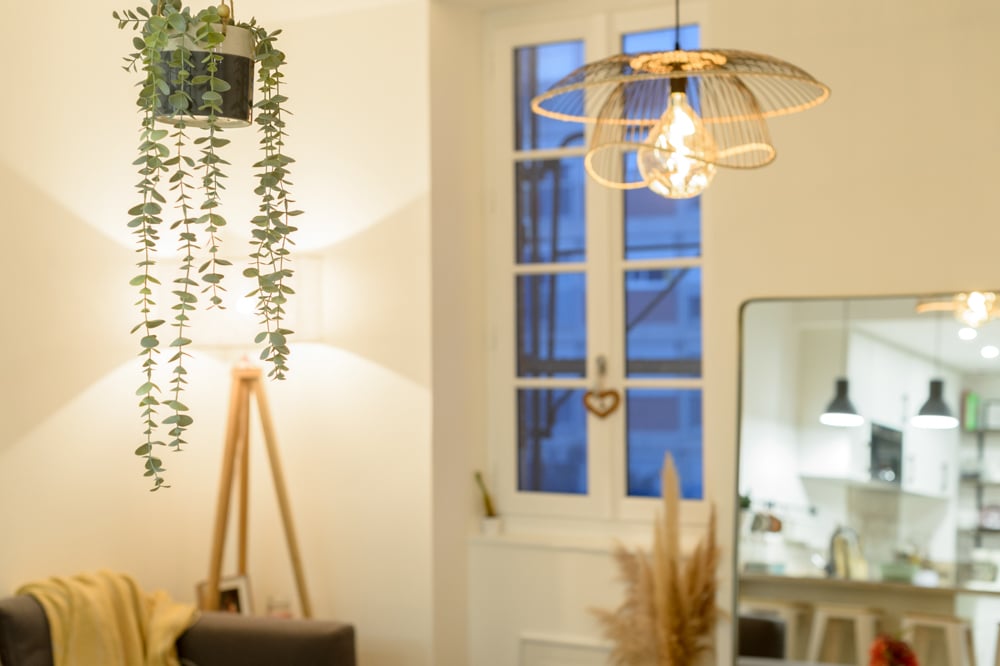 00-après-séjour-scandinave-nordique-plantes-miroir